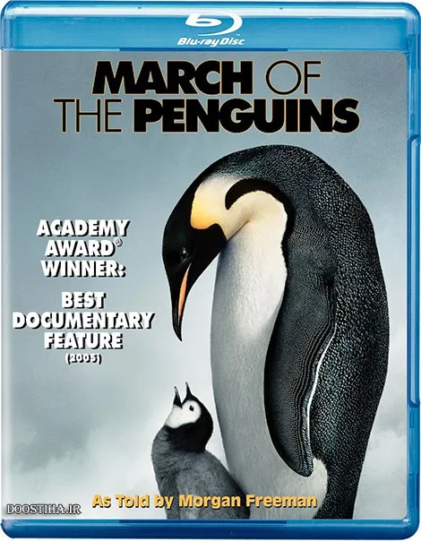 دانلود رایگان مستند رژه پنگوئن ها با دوبله فارسی March of the Penguins 2005