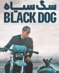 دانلود فیلم سگ سیاه 2024 با دوبله فارسیBlack Dog