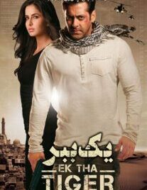 Ek Tha Tiger 2012